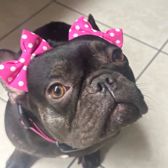 Meet your Posher, Heather - Picture 2 of 16